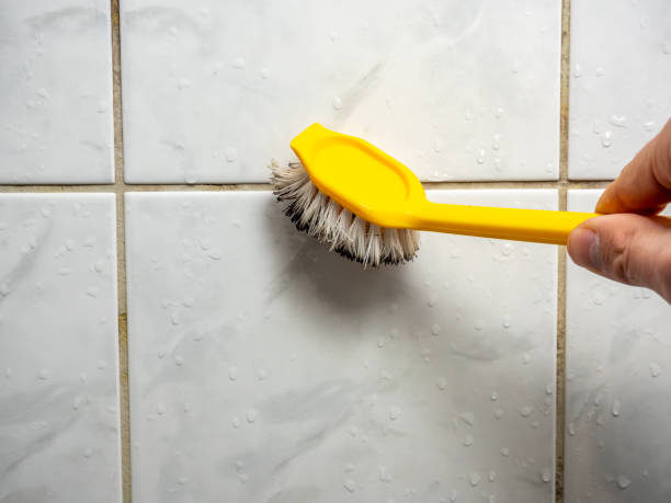 Best Certified Mold Removal  in Kenedy, TX