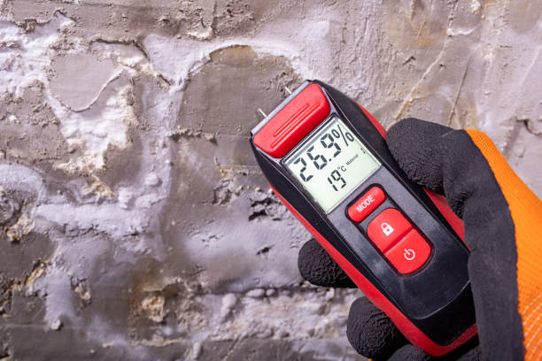 Trusted Kenedy, TX Mold Removal Experts
