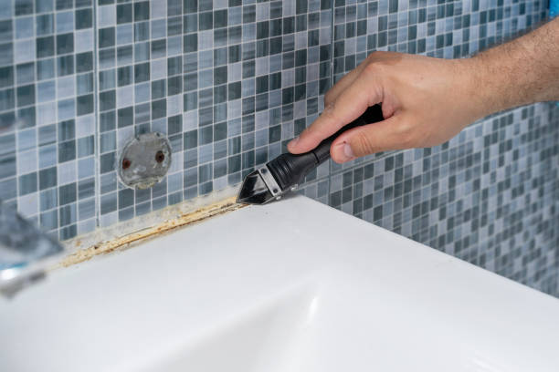 Best Mold Testing  in Kenedy, TX